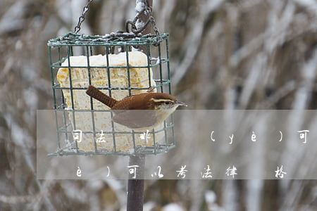 司法證非專業(yè)可以考嗎(非專業(yè)可以考法律資格證嗎)
