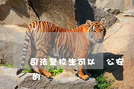 司法警校生可以當公安嗎(司法警校是干什么的)