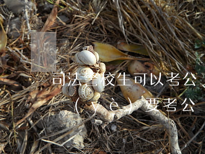 司法警校生可以考公務(wù)員嗎(警校畢業(yè)要考公務(wù)員才能當(dāng)警察嗎)