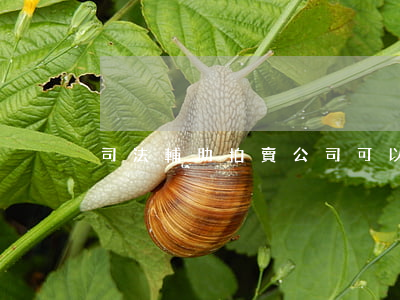 司法輔助拍賣公司可以貸款嗎(拍賣按揭貸款)