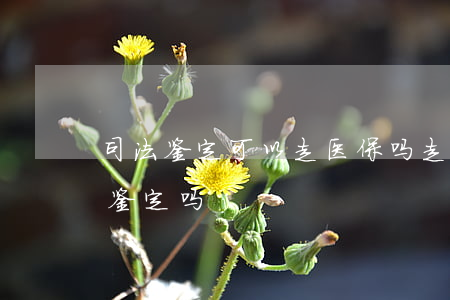 司法鉴定可以走医保吗(走了医保还能做伤残鉴定吗)