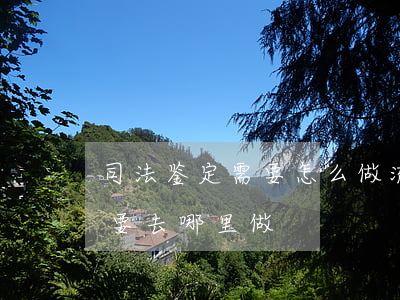 司法鉴定需要怎么做流程是什么(做司法鉴定要去哪里做)