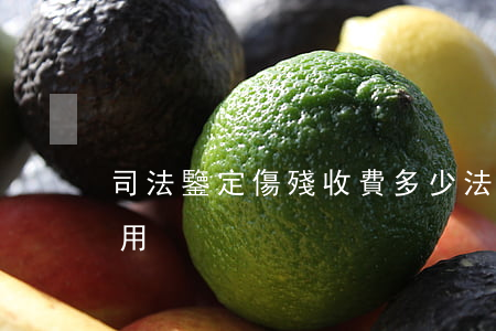 司法鑒定傷殘收費多少(法院傷殘鑒定多少費用)