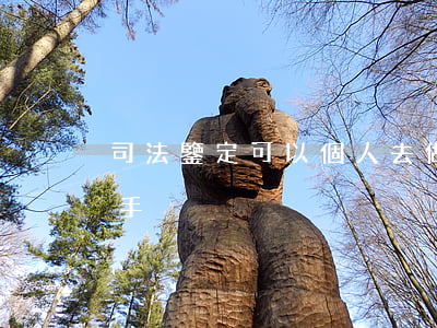 司法鑒定可以個人去做嗎(司法鑒定能不能做手腳)