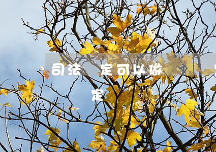 司法鑒定可以做傷殘鑒定嗎(司法鑒定能做傷殘鑒定)