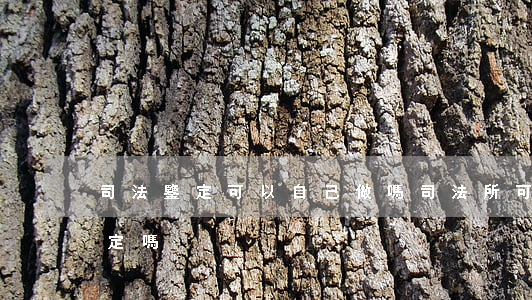 司法鑒定可以自己做嗎(司法所可以做司法鑒定嗎) 司法鑒定可以自己做嗎(司法所可以做司法鑒定嗎)