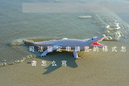 司法鑒定申請書的格式怎么寫(法院申請鑒定書怎么寫?)