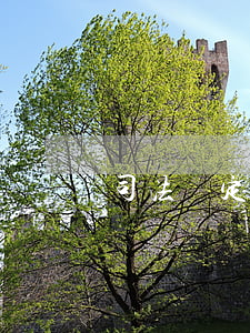 司法鑒定的時(shí)間是多久
