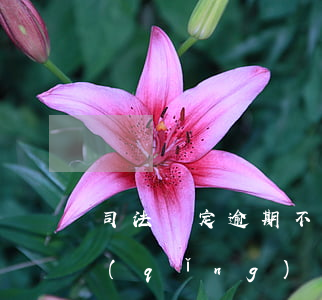 司法鑒定逾期不繳費(fèi)的還能申請(qǐng)嗎-司法鑒定逾期不繳費(fèi)的還能申請(qǐng)嗎知乎