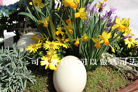 司法鑒自己可以做嗎(司法鑒自己可以做嗎) 司法鑒自己可以做嗎(司法鑒自己可以做嗎)