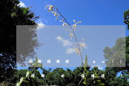 司考法律法規(guī)匯編重要(國家司法考試必讀法律法規(guī)匯編的目錄)