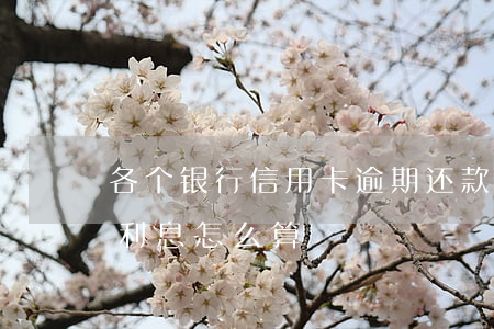 各个银行信用卡逾期还款利息(欠信用卡逾期利息怎么算)