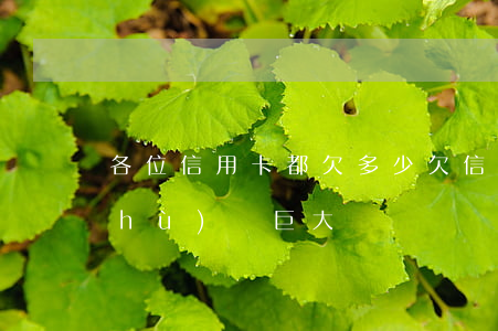 各位信用卡都欠多少(欠信用卡多少算數(shù)額巨大)