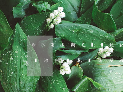 各位有逾期花唄錢被起訴的么(花唄多少逾期會被起訴?花唄逾期被起訴怎么辦)