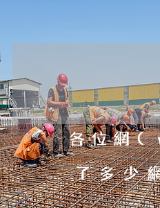 各位網(wǎng)貸都欠了多少(你們都欠了多少網(wǎng)貸)