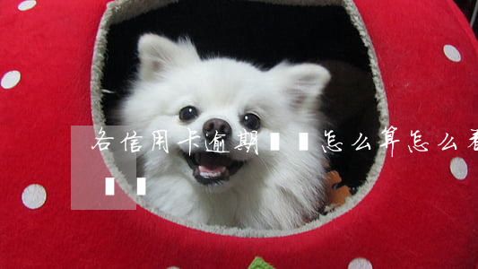 各信用卡逾期時間怎么算(怎么看信用卡逾期時間)