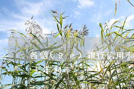 各個(gè)銀行信用卡利息率(各銀行信用卡年利率)