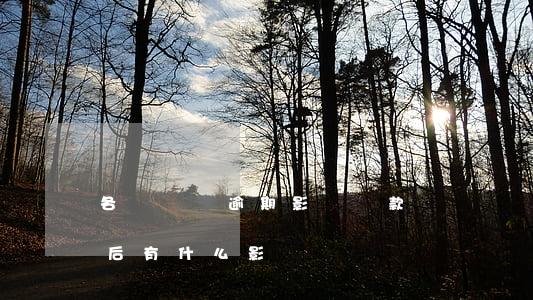 各個網貸逾期影響貸款嗎(網貸嚴重逾期對以后有什么影響)