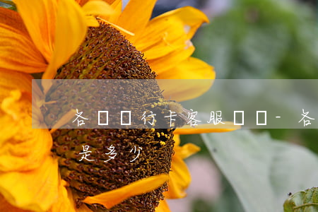 各個銀行卡客服電話-各個銀行卡客服電話是多少