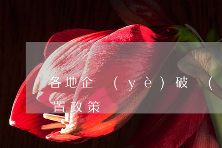 各地企業(yè)破產(chǎn)職工安置政策