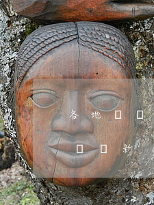各地審計機關(guān)學(xué)習貫徹新《審計法實施條例》