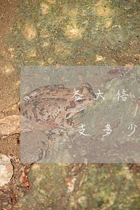 各大信用卡可透支多少錢(信用卡最高可以透支多少錢啊)