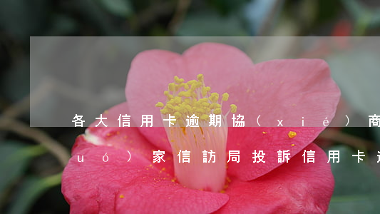 各大信用卡逾期協(xié)商方式(國(guó)家信訪局投訴信用卡逾期協(xié)商還款問(wèn)題)