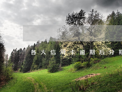 各大信用卡逾期后分期政策(銀行卡逾期分期)