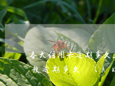 各大信用卡逾期多久上報(bào)征信(一般逾期多久會(huì)上報(bào)征信)