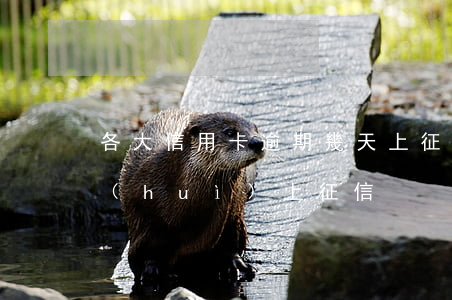 各大信用卡逾期幾天上征信(貸款逾期幾天會(huì)上征信)
