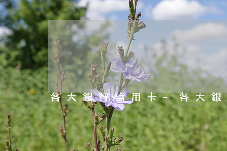 各大銀行信用卡-各大銀行信用卡利息排行