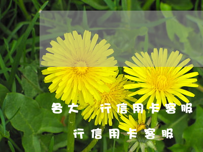 各大銀行信用卡客服電話(huà)-各大銀行信用卡客服電話(huà)大全