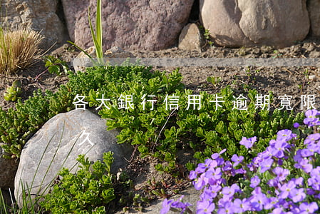 各大銀行信用卡逾期寬限幾天(信用卡 逾期多久)