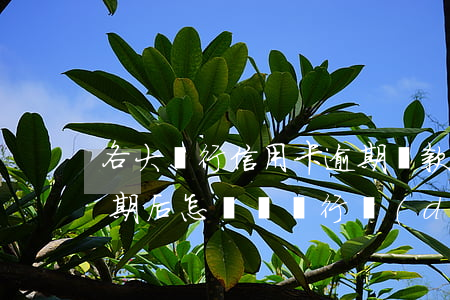 各大銀行信用卡逾期還款協(xié)議 逾期后怎樣與銀行達(dá)成協(xié)議還款