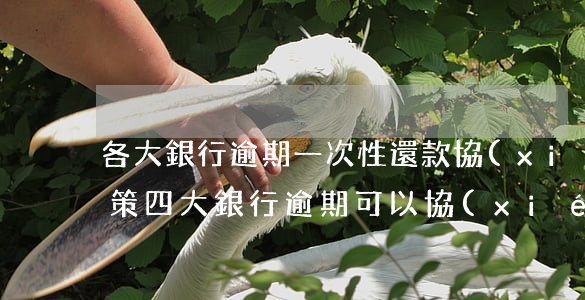 各大銀行逾期一次性還款協(xié)商政策(四大銀行逾期可以協(xié)商還款嗎)