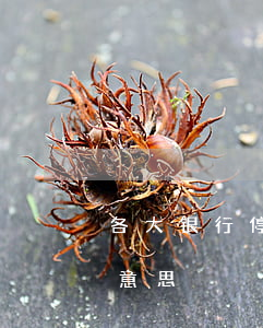 各大银行停息挂账时间(银行停息挂账是什么意思)