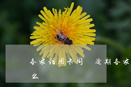 各家信用卡同時逾期 各家信用卡同時逾期怎么辦