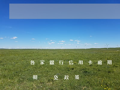 各家銀行信用卡逾期減免(各家銀行信用卡逾期減免政策)