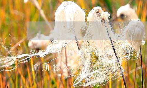 各家銀行逾期后停息掛賬時間表(停息掛賬后逾期怎么辦)