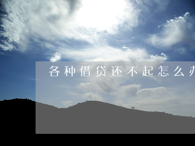 各种借贷还不起怎么办(借贷还不了)