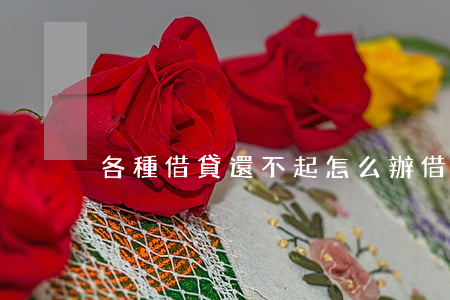 各種借貸還不起怎么辦(借貸還不了)