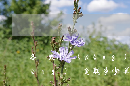 各種大小網(wǎng)貸全部逾期(網(wǎng)貸逾期多少算大額)