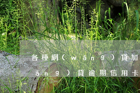 各種網(wǎng)貸加信用卡逾期 網(wǎng)貸逾期 信用卡