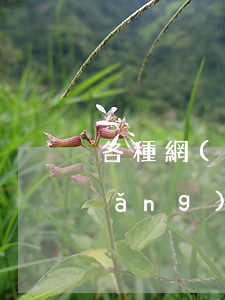 各種網(wǎng)貸貸逾期破解法(網(wǎng)貸逾期處理方法)