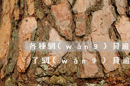 各種網(wǎng)貸逾期2個(gè)月了(網(wǎng)貸逾期2個(gè)小時(shí)怎么辦)