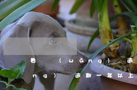 各種網(wǎng)貸逾期一年多 網(wǎng)貸逾期一年以上意味著什么