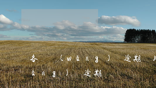 各種網(wǎng)貸逾期圖片（各種網(wǎng)貸逾期圖）