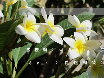 各種網(wǎng)貸逾期好幾個月(網(wǎng)貸逾期幾年的有沒有)