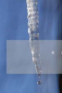 各種逾期求上岸（信用卡逾期上岸怎么解決）
