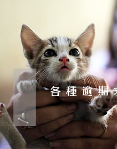 各種逾期求上岸（信用卡逾期了如何上岸）